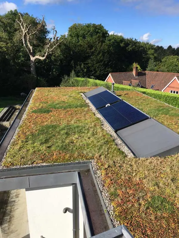Solar thermal collector on a green sedum roof