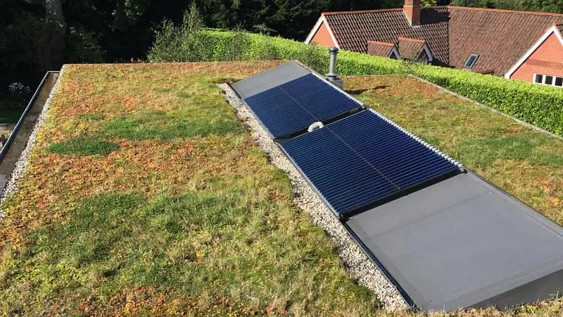 Solar panels set into a green sedum roof